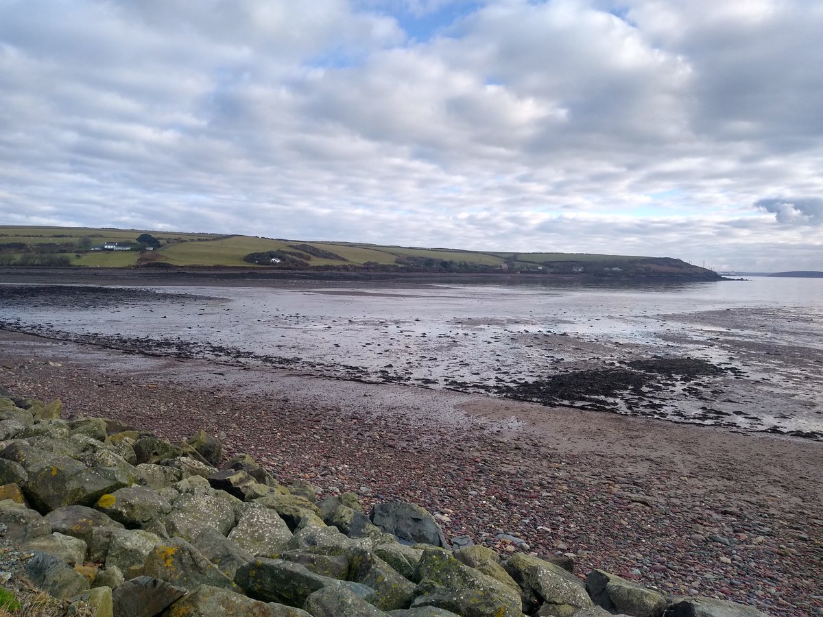 When will @NatResWales take action to stop dogs running amok on the Gann-one of its most important estuary/wetland sites in West Wales? Curlews and Gulls chased by #Dogs on site that's supposed to be protected. It isn't. People totally ignoring dogs on lead sign. Truly shocking!