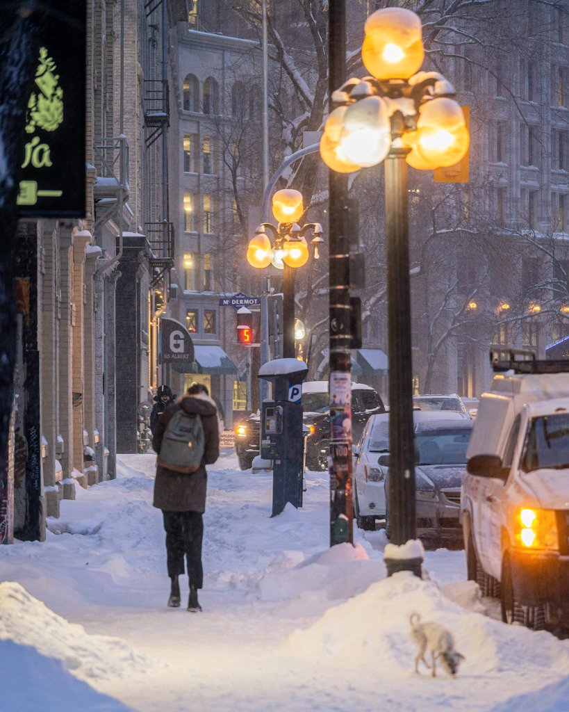 It's always great in the Exchange, but for me, this area really becomes something special in Winter. #Winnipeg