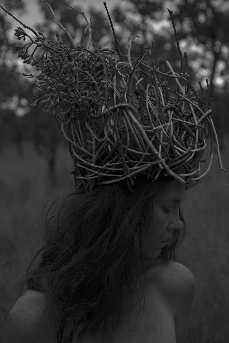 Violet Bond tweet media