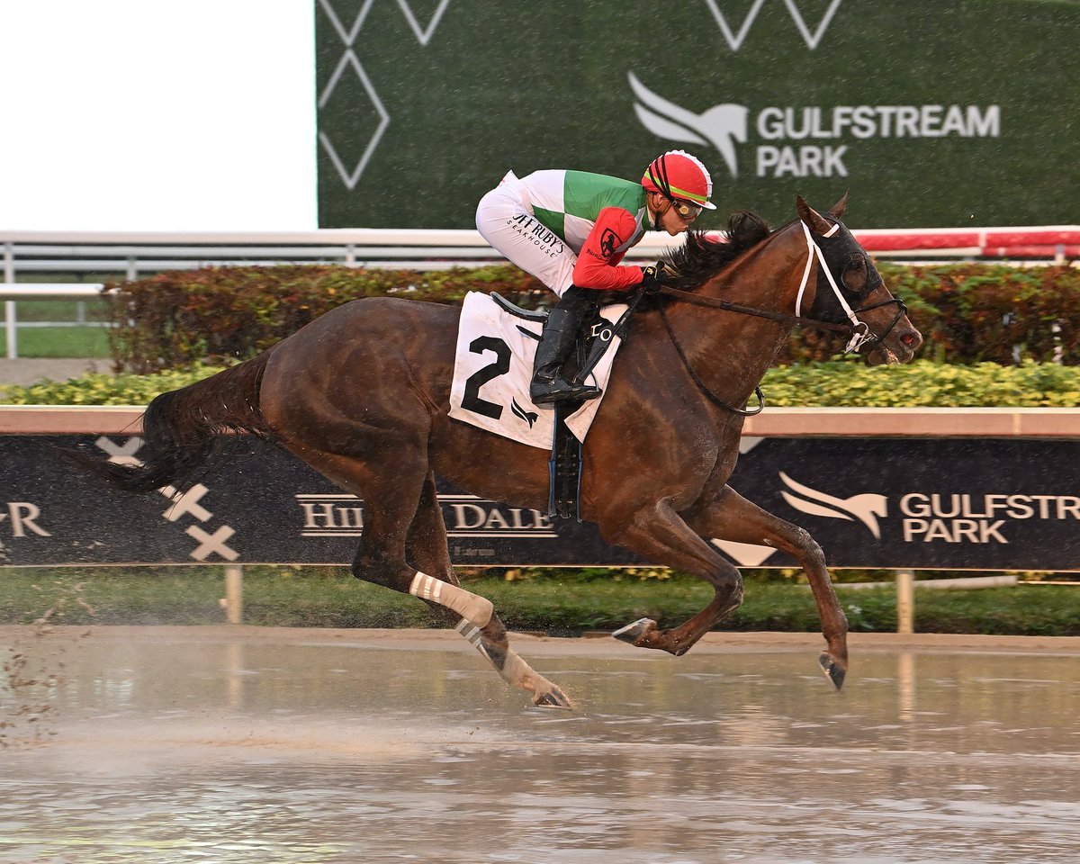 Caramel Chip dominates race 9, <a href="/iradortiz/">Iradortiz</a> in the saddle, <a href="/JFDAngelo/">Jose F D'Angelo</a> is the winning trainer and Bianco Stable is the winning owner. #GulfstreamPark #ChampionshipMeet