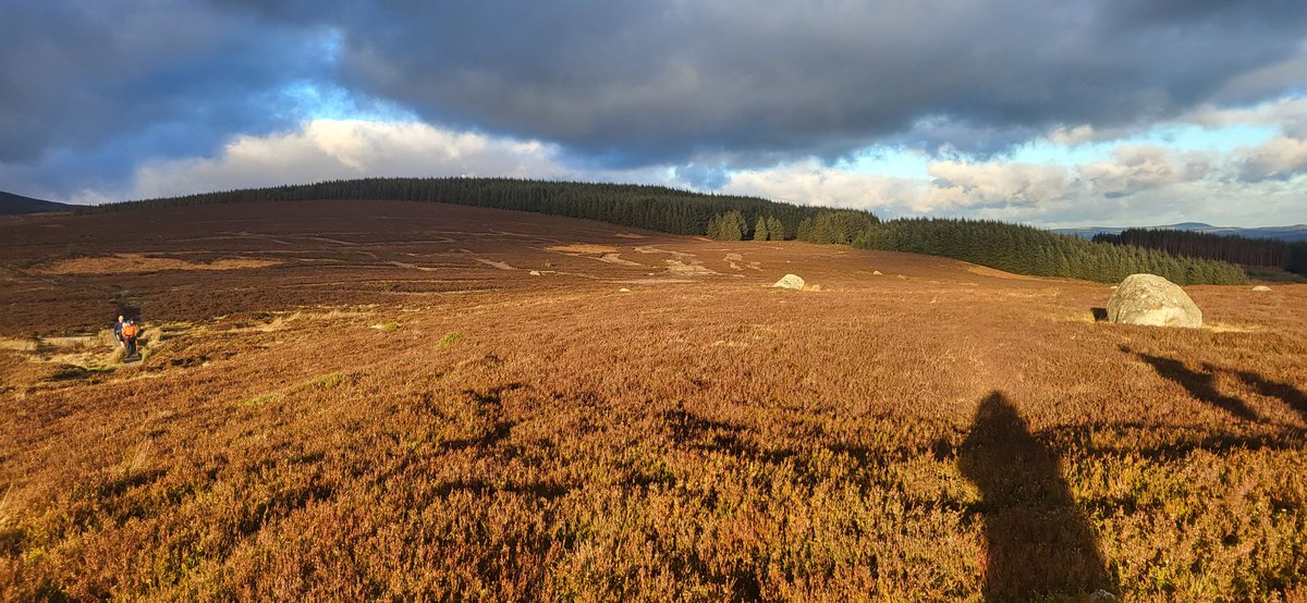 lostlovecry's tweet photo. Beautiful day on the hills ♥️
#blessed #mountains #trails #hikelife #mountaineering #wicklow https://t.co/mmlaDpG9ua