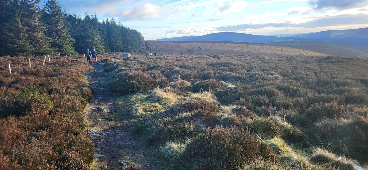 lostlovecry's tweet photo. Beautiful day on the hills ♥️
#blessed #mountains #trails #hikelife #mountaineering #wicklow https://t.co/mmlaDpG9ua