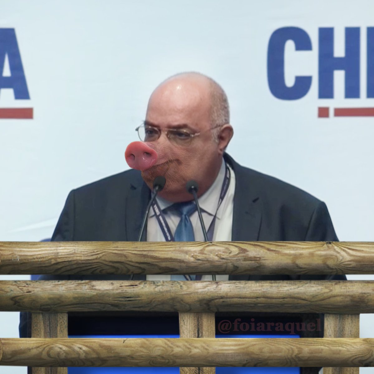 Convenção Nacional 🐷✨