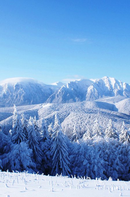 Natural beauty. Winter Landscape.