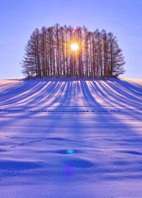 Enjoy the view.