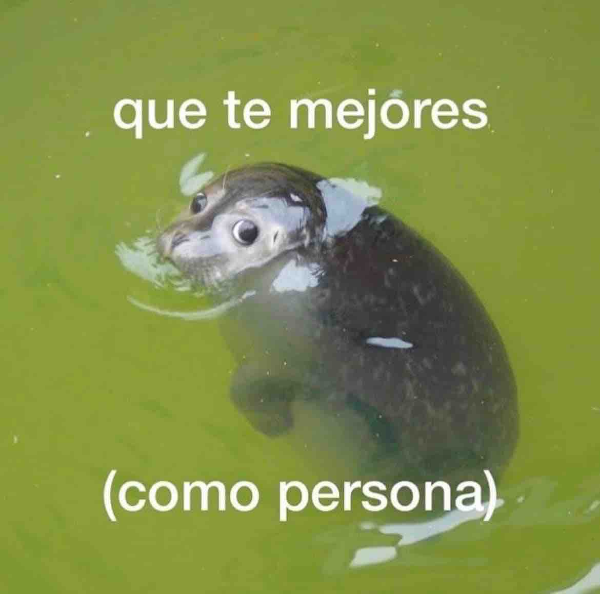 Guarromantico_'s tweet photo. https://t.co/4JMFLLdYJx