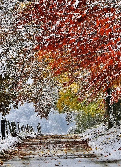 Natural beauty. Winter Landscape.