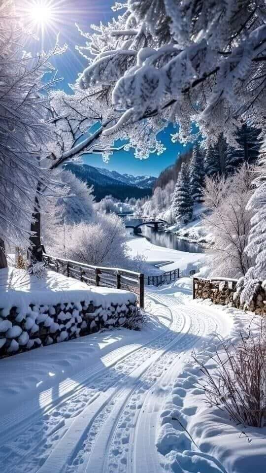 silviafelix011's tweet photo. Blessed And Happy Week Friends! ❄️🩵🩶🙏✨💫\Heavenly \ #NaturePhotograhpy #NatureBeautiful #happyweek #GoodVibes #goodhealt #GoodNight #GoodMorningX #WINTER https://t.co/pxvWNuhyo2