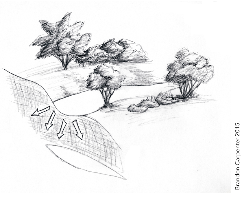 MattPowersSoil's tweet image. I &amp;lt;3 #Swales - though they're not always called for.

Learn more about #Swales &amp;amp; when to use them with The Permaculture Student 2 the 400+ page FREE ebook that's fully cited &amp;amp; peer-reviewed: thepermaculturestudent.com/download-ps2-f…
Or LISTEN to the FREE #Audiobook on Youtube: