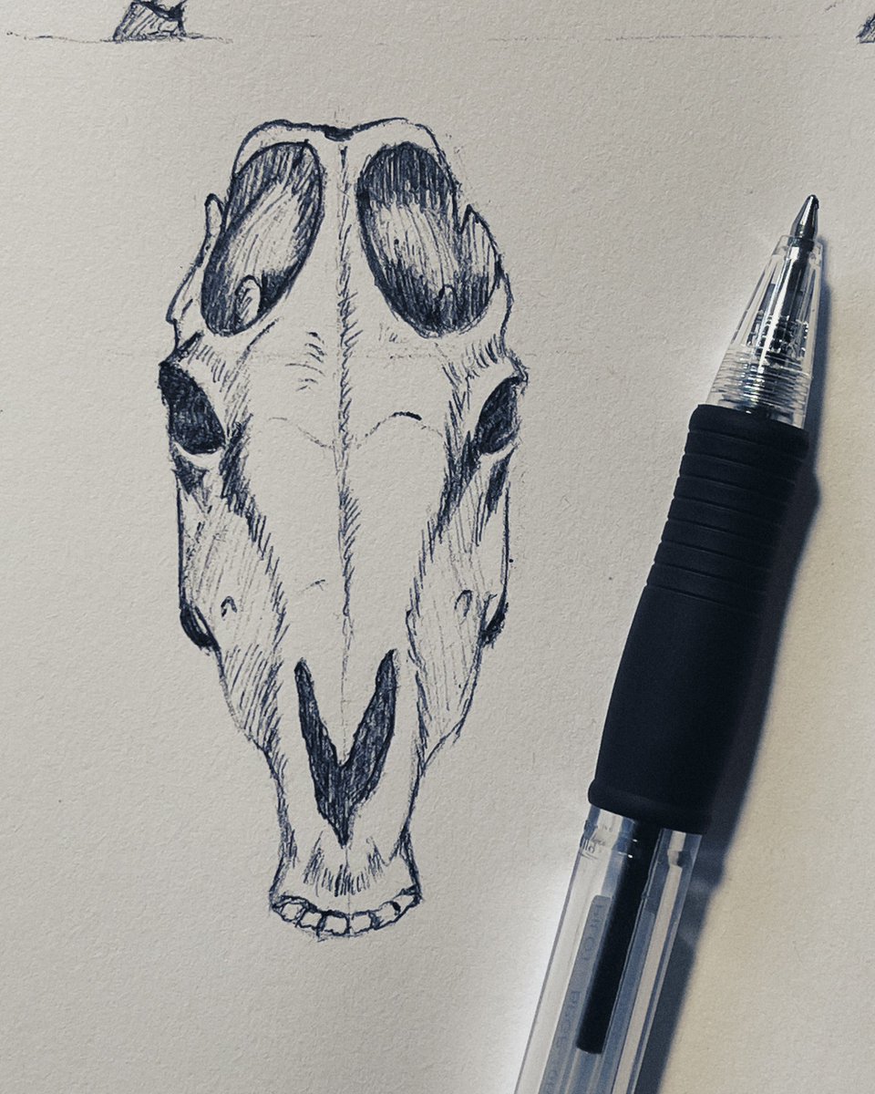 Skulls. Spooky or cool? 

Drawing in pen forces me to go slower. My brain desperately needs to slow down sometimes.

#sketch