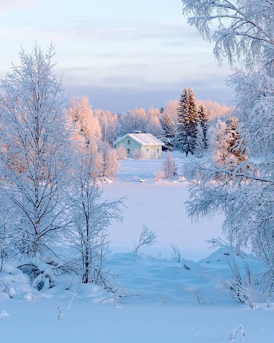 Natural beauty. Winter Landscape.