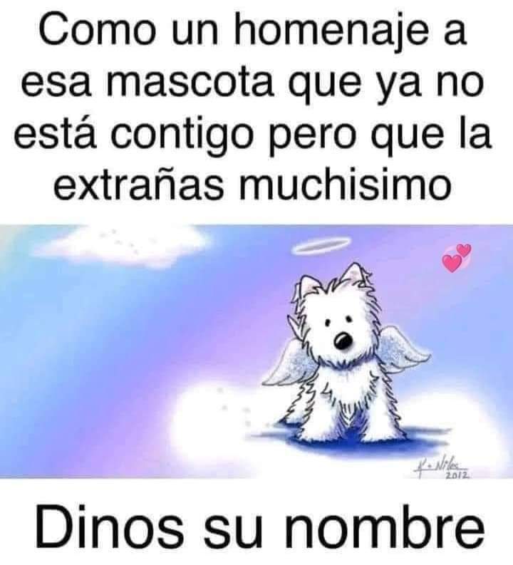 Guadalupe Ramirez tweet media