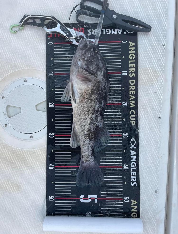 GoodgoOrg's tweet photo. 宮城GoodGo 28ft
1月14日

＃宮城　
#東北　
#GoodGo 
#釣船　
#グッドゴー
#fishing_Esperanza 
#タイラバ　
#ジギング　
#塩釜
#wonmo 
#wonmomarine https://t.co/PD1MyCXCrw