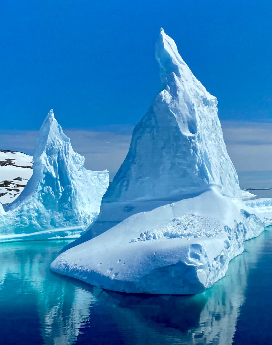 Dr. Allison Jacobel tweet media