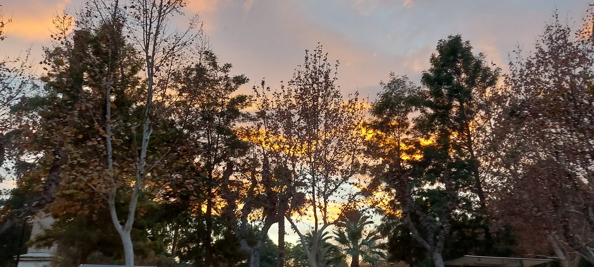 dagopac's tweet photo. #Fotopostales de una tarde chula en el monte con @natloji @lidita18 @manolcan https://t.co/nED8DdenCW