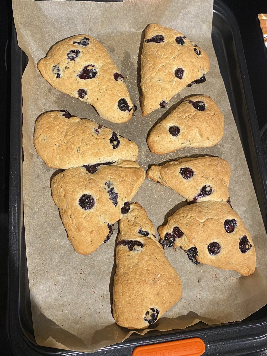 trissio's tweet photo. favorites of the things I baked in 23. lemon tart, pistachio crust cheesecake, chocolate croissants, rosemary blueberry scones. a special shout out to the extremely ugly scones - made with fresh blueberries picked w my best friend &amp; tasted amazing despite looking... rough lol https://t.co/UwCKyAxXUx