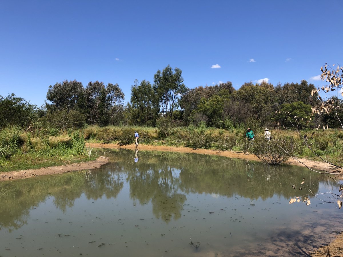 Do you know how much water you have stored on farm? Do you know how much you should have, and how to get it where you need it?
Come along to one of our workshops in Tooma and Holbrook, and get help to get your plan.
Bookings via Humanitix (via Linktree) - linktr.ee/holbrooklandca…
