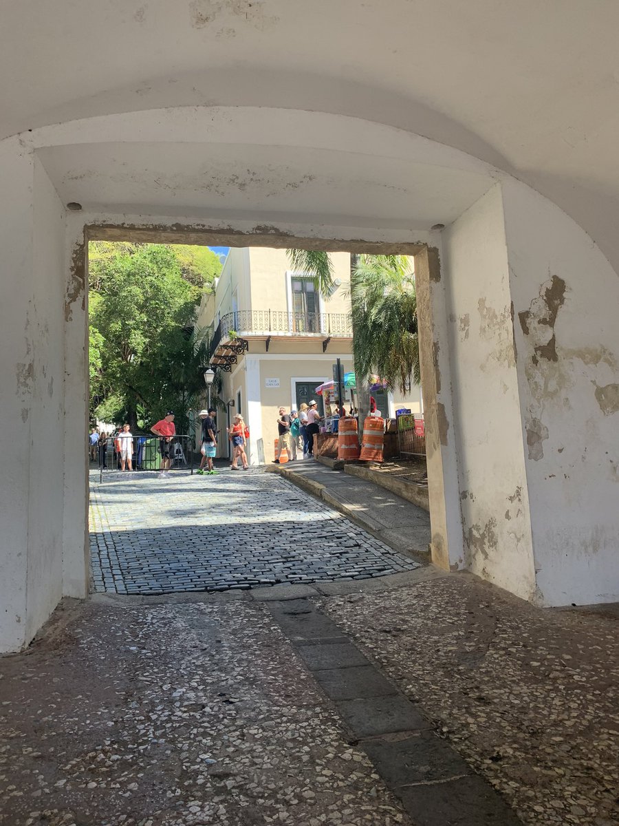 CryptoNovo311's tweet image. I spy a @cryptopunksnfts 👀
#NovoCruise 🚢