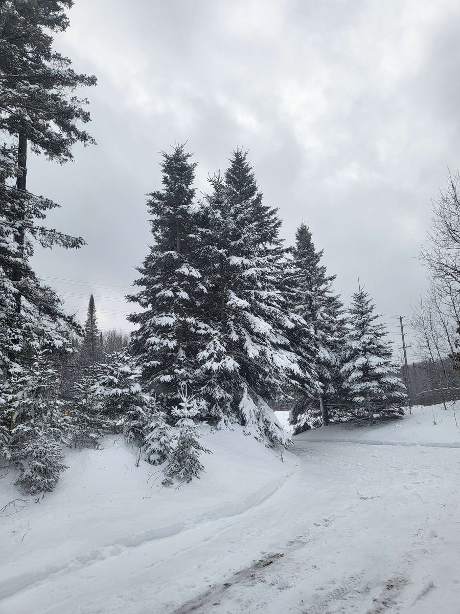 Kaska52's tweet photo. Took some pics around the property today. Can feel Hitl0r’s spirit when I’m alone out here https://t.co/hiYMwbdWyw
