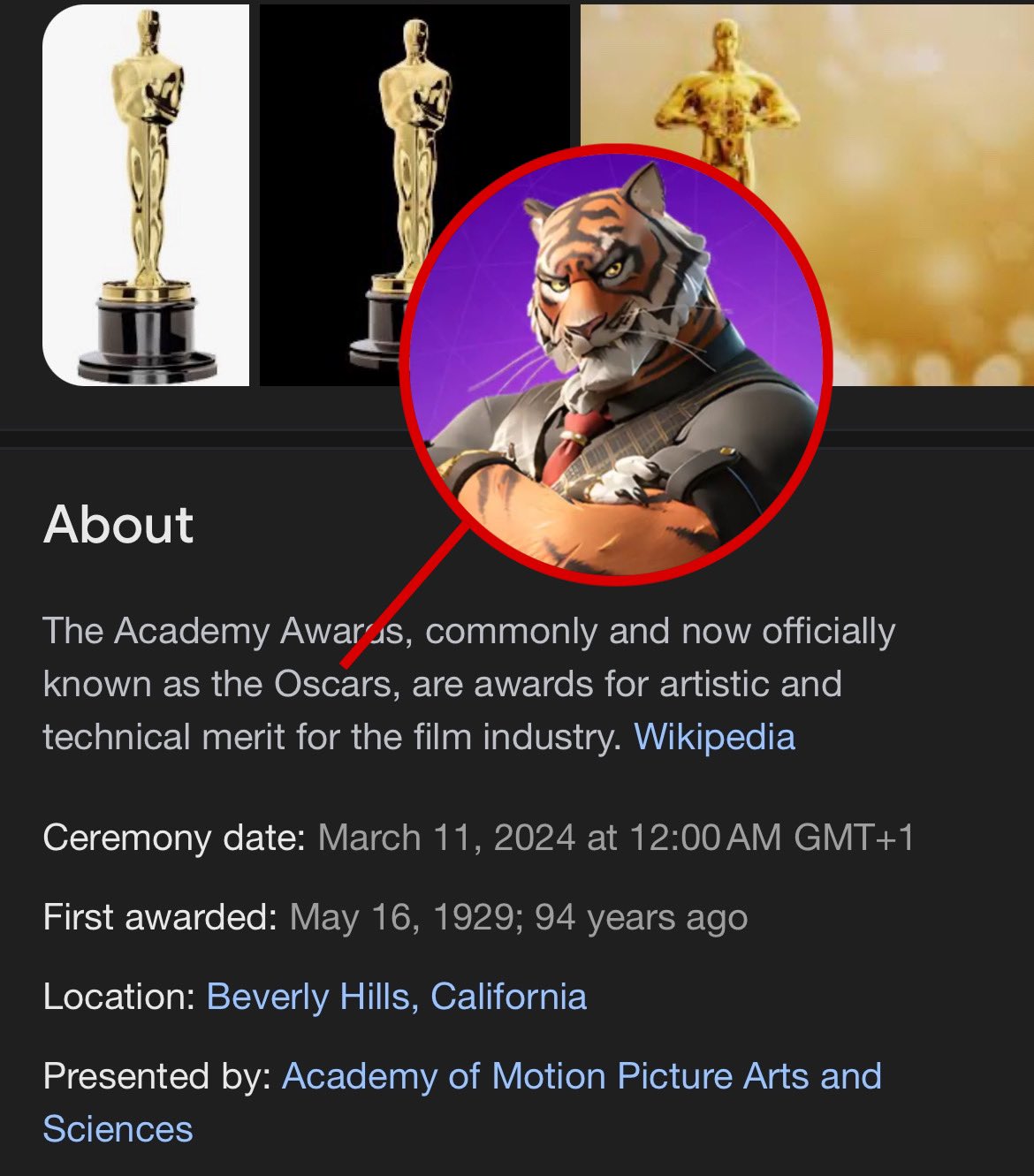 Oscar Awards 2025 Wiki