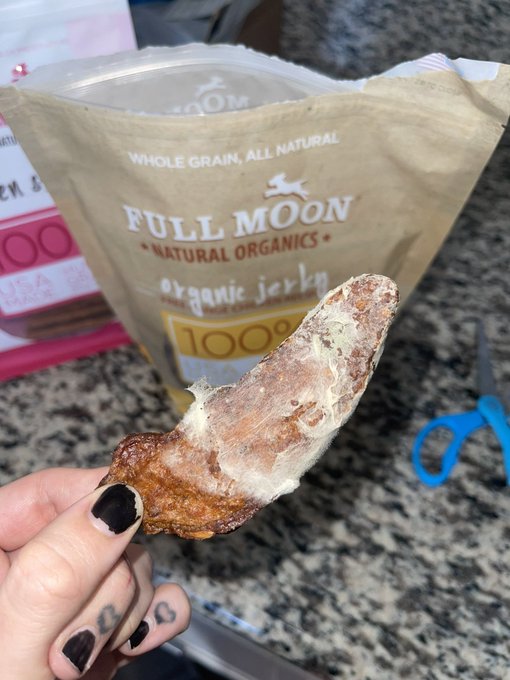 just paid $25 for a bag of MOLD 😵&zwj;💫 the way I screamed when I pulled this out of the bag 🤮🤮🤮 they&rsquo;re