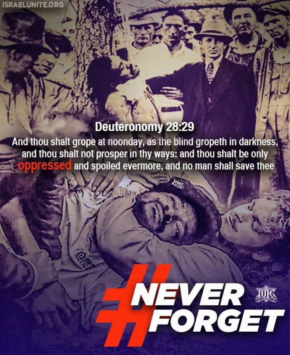IUICVIRGINIA's tweet photo. #Deuteronomy 28:29 
……………………………….
Visit our website here 💻👨🏾‍💻🖥
🔴 https://t.co/rQ4ECDMiiM

#BibleVerse #DailyBread #BibleVisual #Scriptures #IUIC #Israelites https://t.co/fuz18JdOue