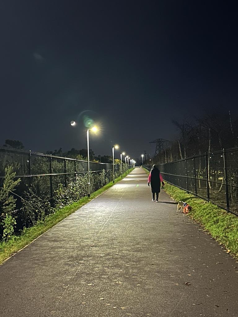 Bheronica4's tweet photo. Day 14 #100Days of walking- a (very!) cold night time walk with the coat-refusing canine. I was glad of my duvet/coat!😂 https://t.co/lvFUNULGTH