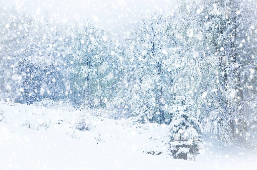 Jan. 14, 2024: ❄️We will be up early tomorrow in the morning checking road conditions and monitoring the weather. We’ll be ready to communicate if student transportation is affected for Southern Niagara, by 6:00 a.m.🌨️