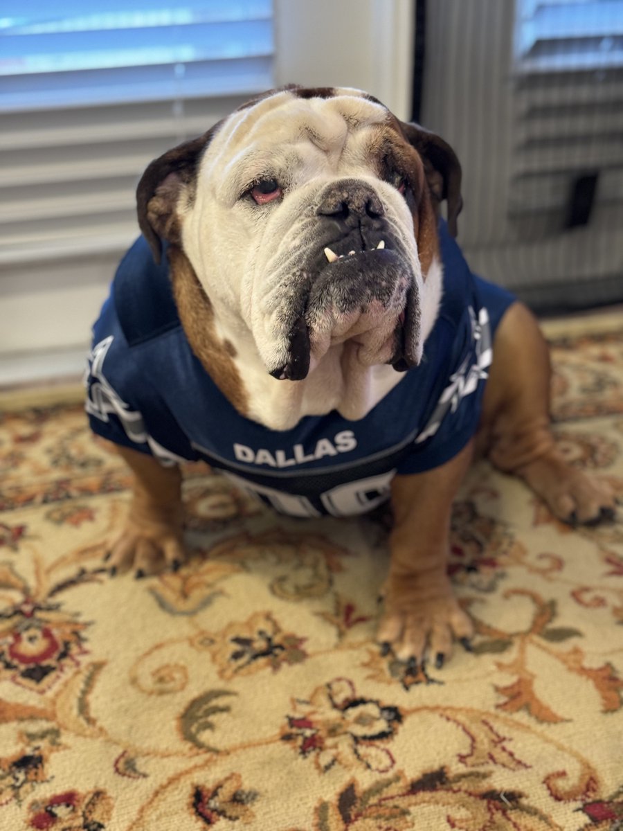 AKCHercules's tweet image. I wore this @dallascowboys reluctantly. Especially with ass whooping they&apos;re getting from the @packers. #FIREMCCARTHY #HIREBELICHIK. #CowboyNation #Cowboys #DallasCowboys #Packers𝕏 #PackersvsCowboys #GreenBayPackers #GreenBayvsDallas #CowboysNation