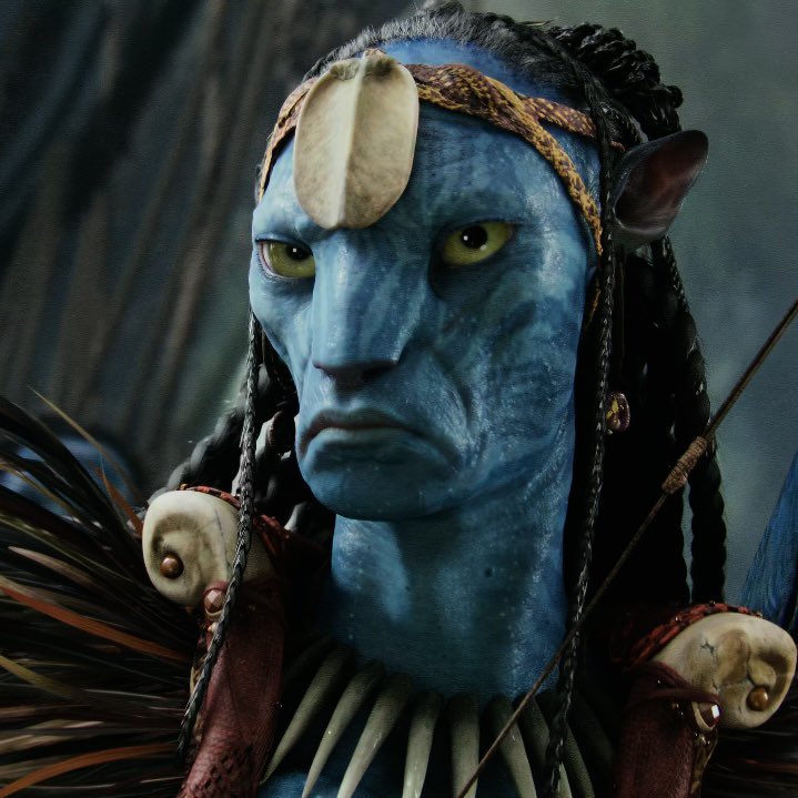 normally i only see mo’at in neytiri but here i can see eytukan