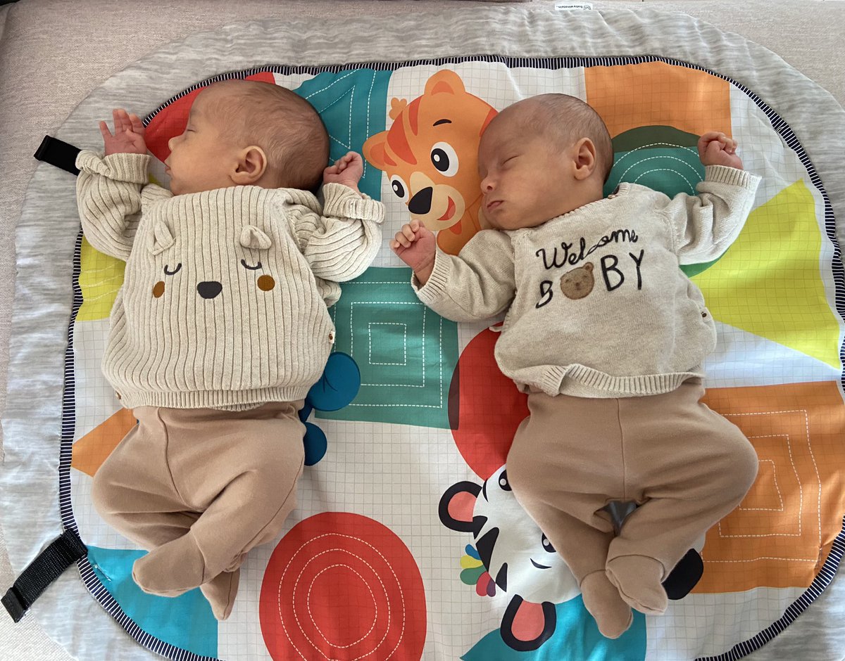 Debbie O'Brien tweet media