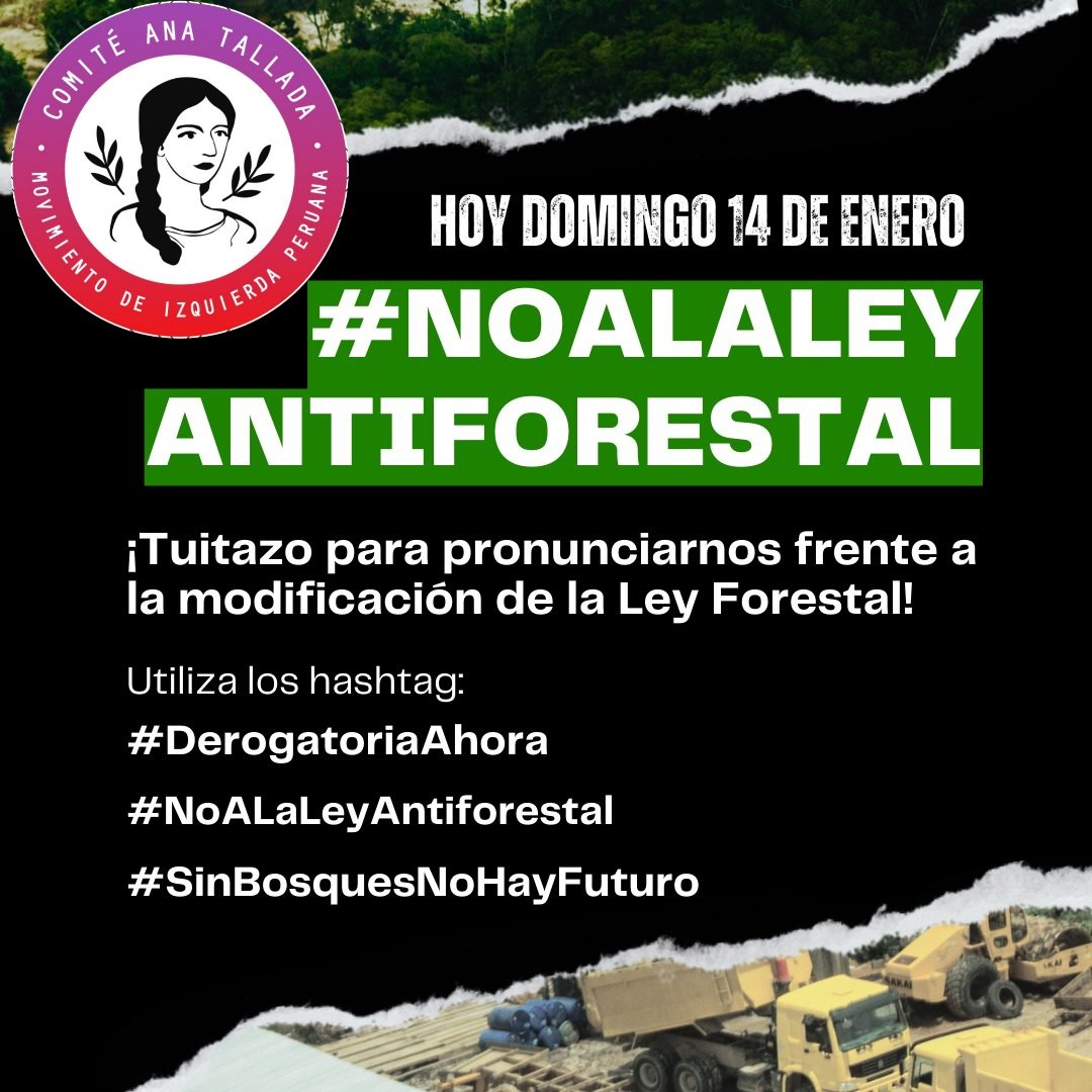 pavese's tweet photo. Hoy a las 7 pm #Tuitazo para defender la Amazonia peruana frente a la deforestadora Ley Forestal. https://t.co/LNWcTsKYzE
