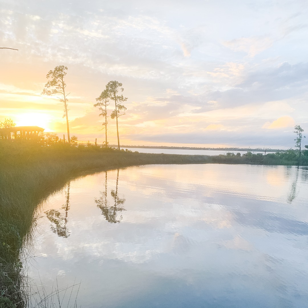 destination_pc's tweet photo. Happy #SundaySunset π
Want your sunset pic featured on our page? Tag us in your sunset pics, and use #LovePC!
#SunsetDreams #SunsetMood #SunsetMagic #SunsetObsessed #SunsetGram #SunsetVibes #SunsetPhotography #SunsetLovers #LovePC #LoveFL #WhereLifeSetsSail https://t.co/6rC5gRQQ3p