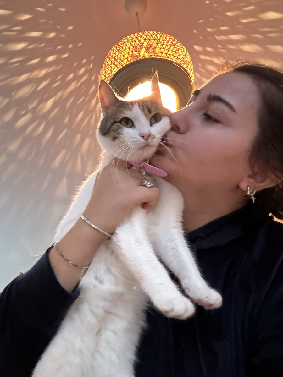efsaneaky's tweet photo. @iremsuyldrmm 😻😻😻 https://t.co/swPrfHNuWv
