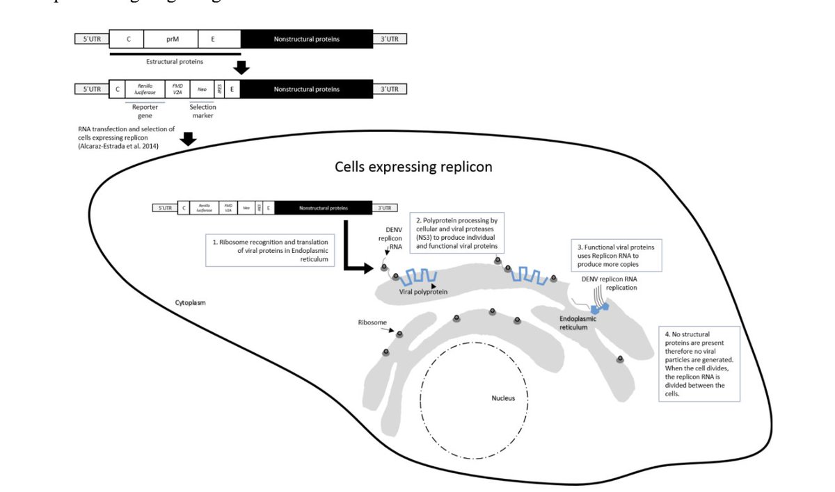 Departamento de Química UAMI tweet media