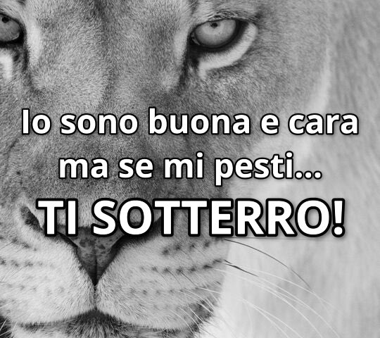 Dedicato ai miei nemici… #giustizia #iosonobuonaecarama #semipestitisotterro #leonessa #occhio #attenzione #semiincazzosonoguai