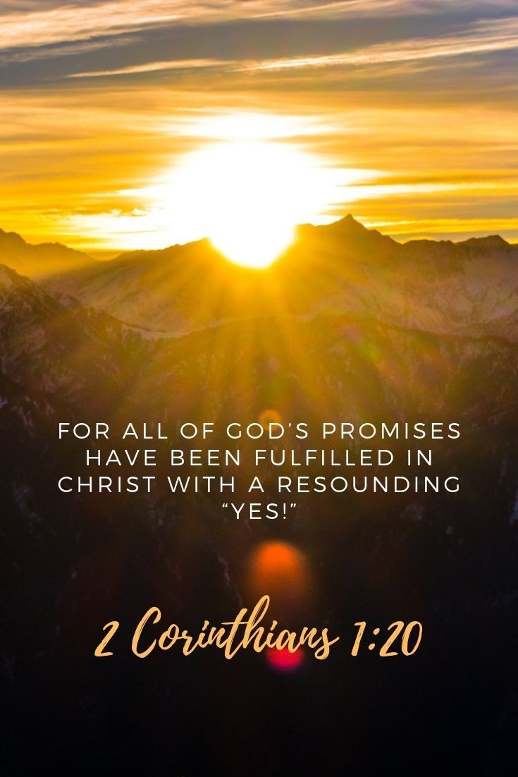 SunitaHines's tweet photo. ❤️My dear friends,

Instead of worrying, switch over into thanking God. Put Your trust in Him, and thank Him for He is faithful to His Word. What He promised and purposed for your life will come to pass. Worship, praise, and thank Him.
#Amen❤️ https://t.co/2oK8bFMjp8