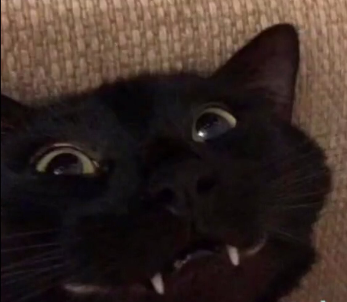 Today is me birthday eeeee