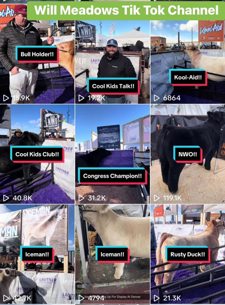 mattlautner's tweet photo. #GoodCoverage 

MLC Friday Display Videos In Denver Reach 
300,000 Views In 48 Hours 

Click To View Will Meadows Tik Tok Channel: 

https://t.co/dsLjm5tHUF

#MattLautnerCattle #Denver2024

#NewWorldOrder 
#CoolKidsClub 
#KoolAid 
#Iceman 
#RustyDuck

🇺🇸

Website: 
https://t.co/pYk99Y1MuM 
Call/Text MLC Office @ 515.391.9540 

2023 MLC Sire Catalog: 
https://t.co/ZXLbWi6Fin

#Shipping #OrderToday #SameDayShippingAvailable 
Call/Text Matt Lautner Cattle Office At 515.391.9540 To Order Semen For Shipment Today 

#FreeShippingOnOrders #Over650Dollars #OnlyAtMLC