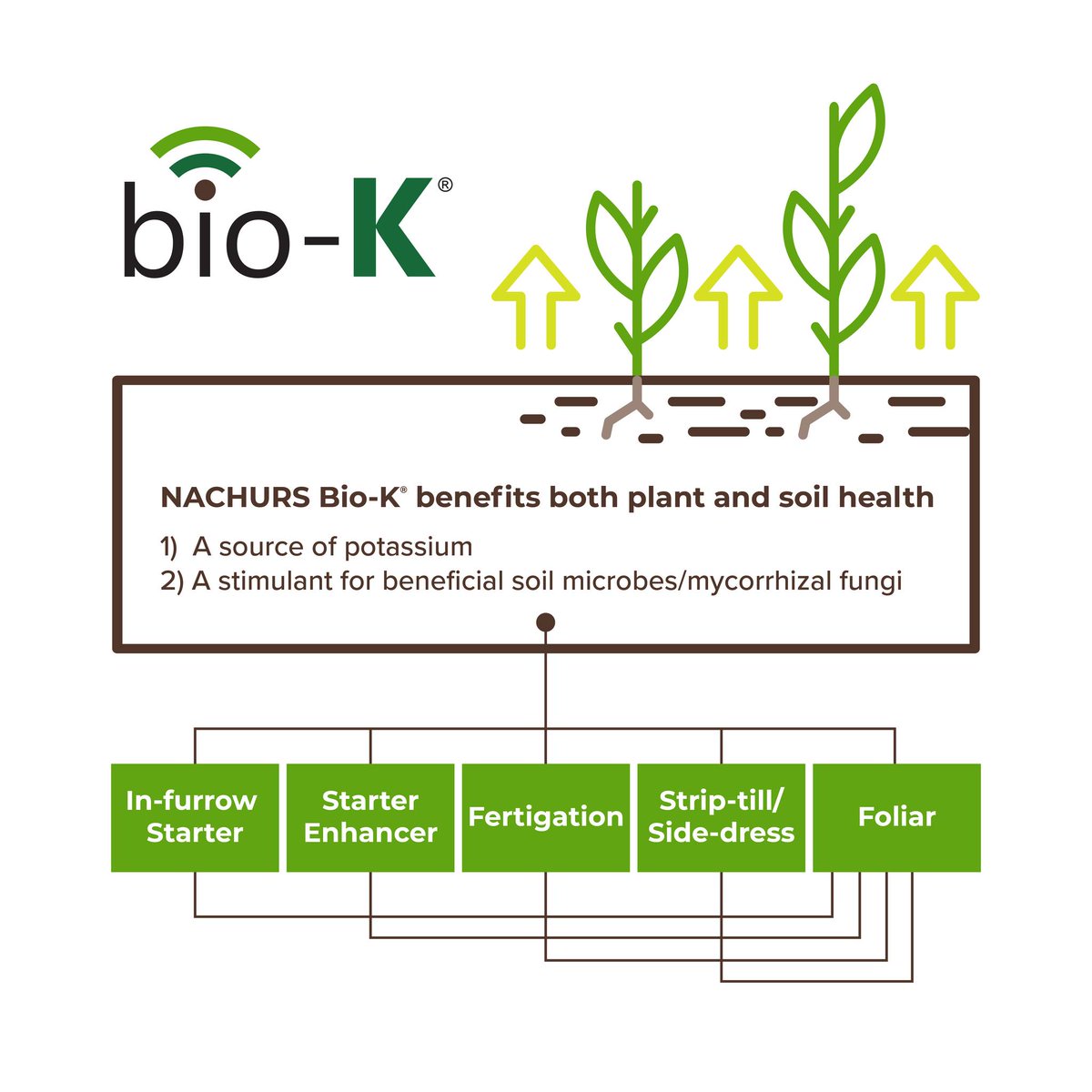 Did you know that NACHURS Bio-K® benefits both plant and soil health? Click the link below to learn more! #NACHURS #BioK #SoilHealth

nachurs.com/bio-k
