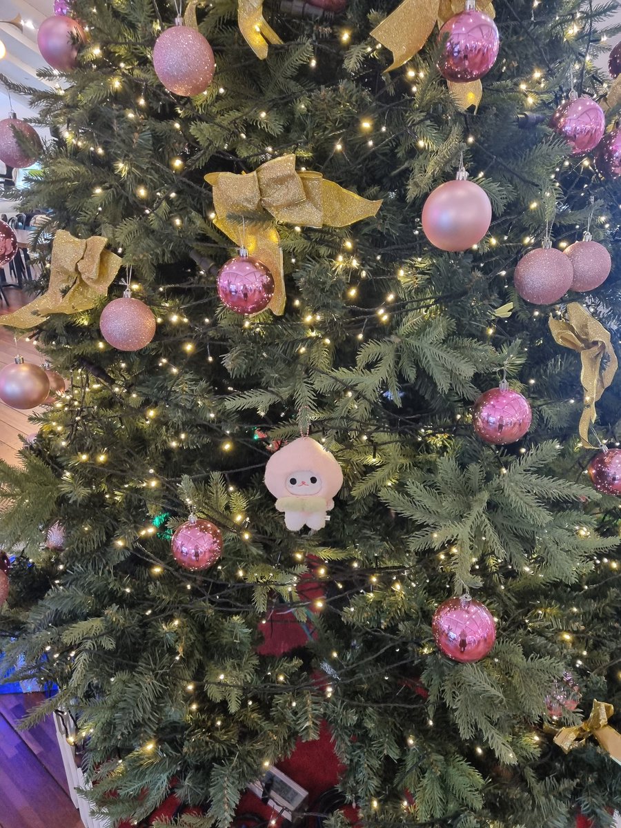 2023.12.29
연말일상 1 ♡딴콩민♡

딴콩민과 함께했던 날~

#문네모 #문애옹 #황제누룽지탕 #딴콩민