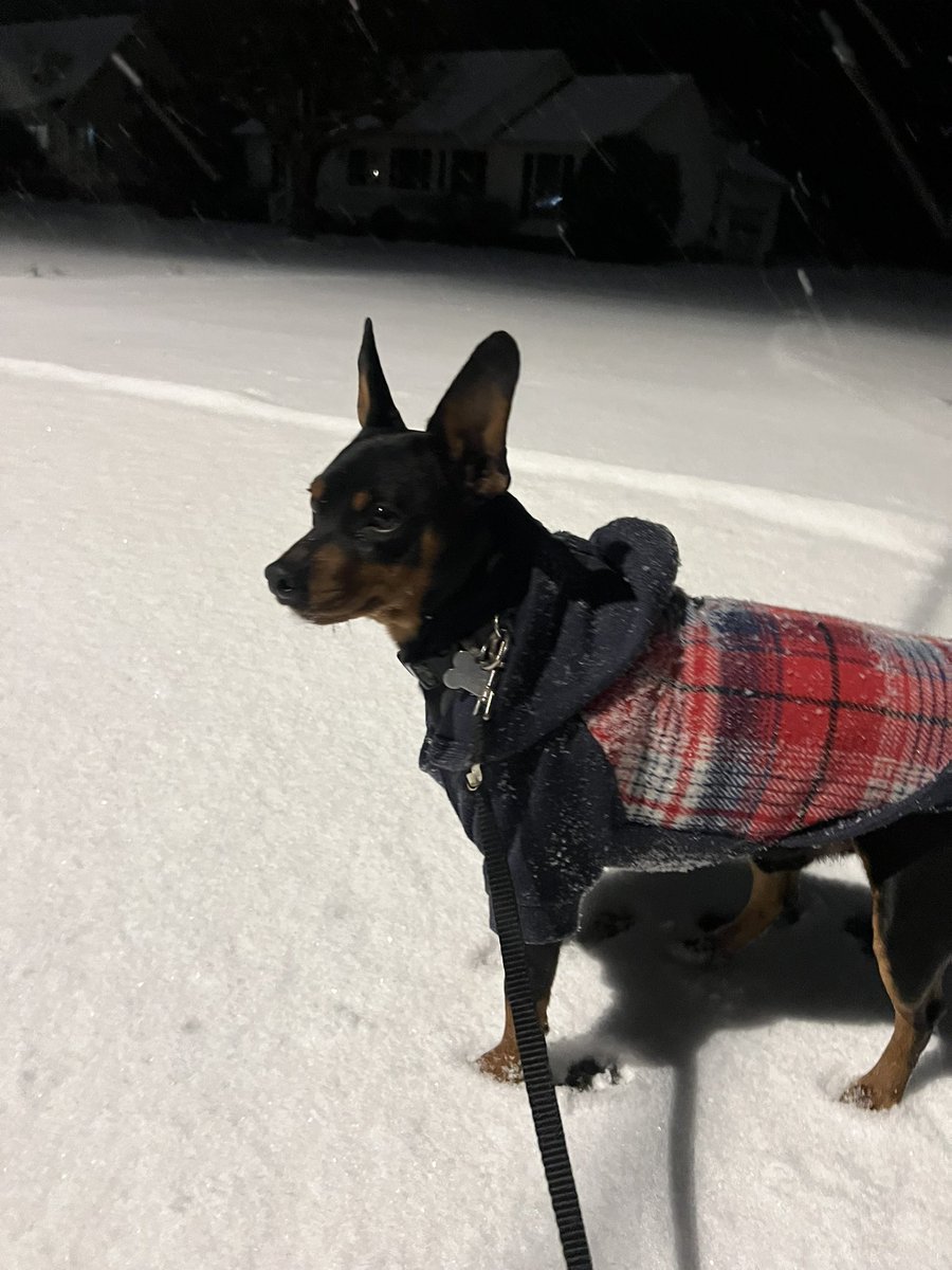 My boy Negan loves the snow