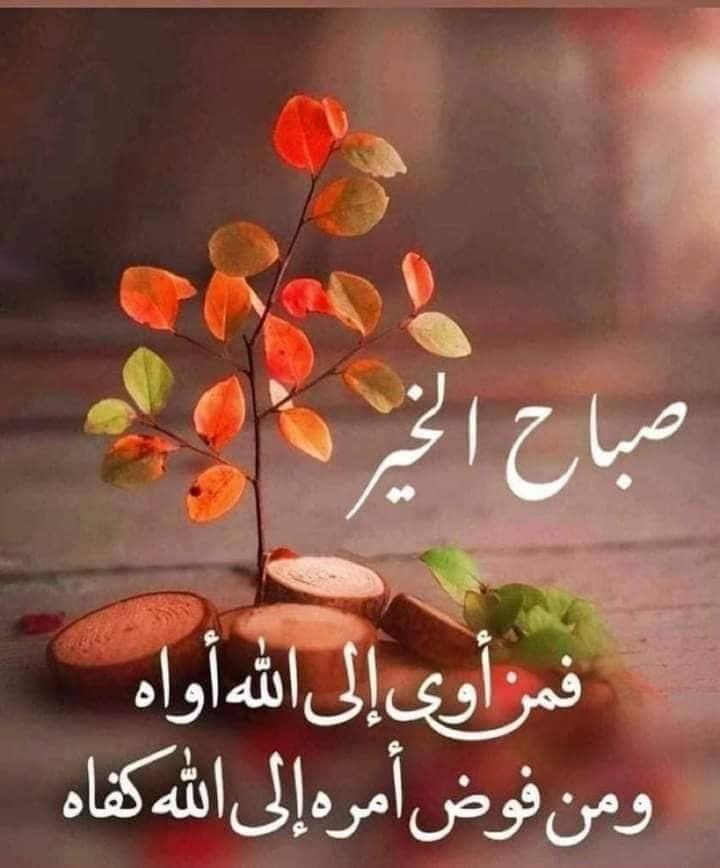 Itskhl0ud's tweet photo. 🍃 الثقة في النفس هي المفتاح لتحقيق الأهداف
#صباح_الخير https://t.co/uNydmLGetL