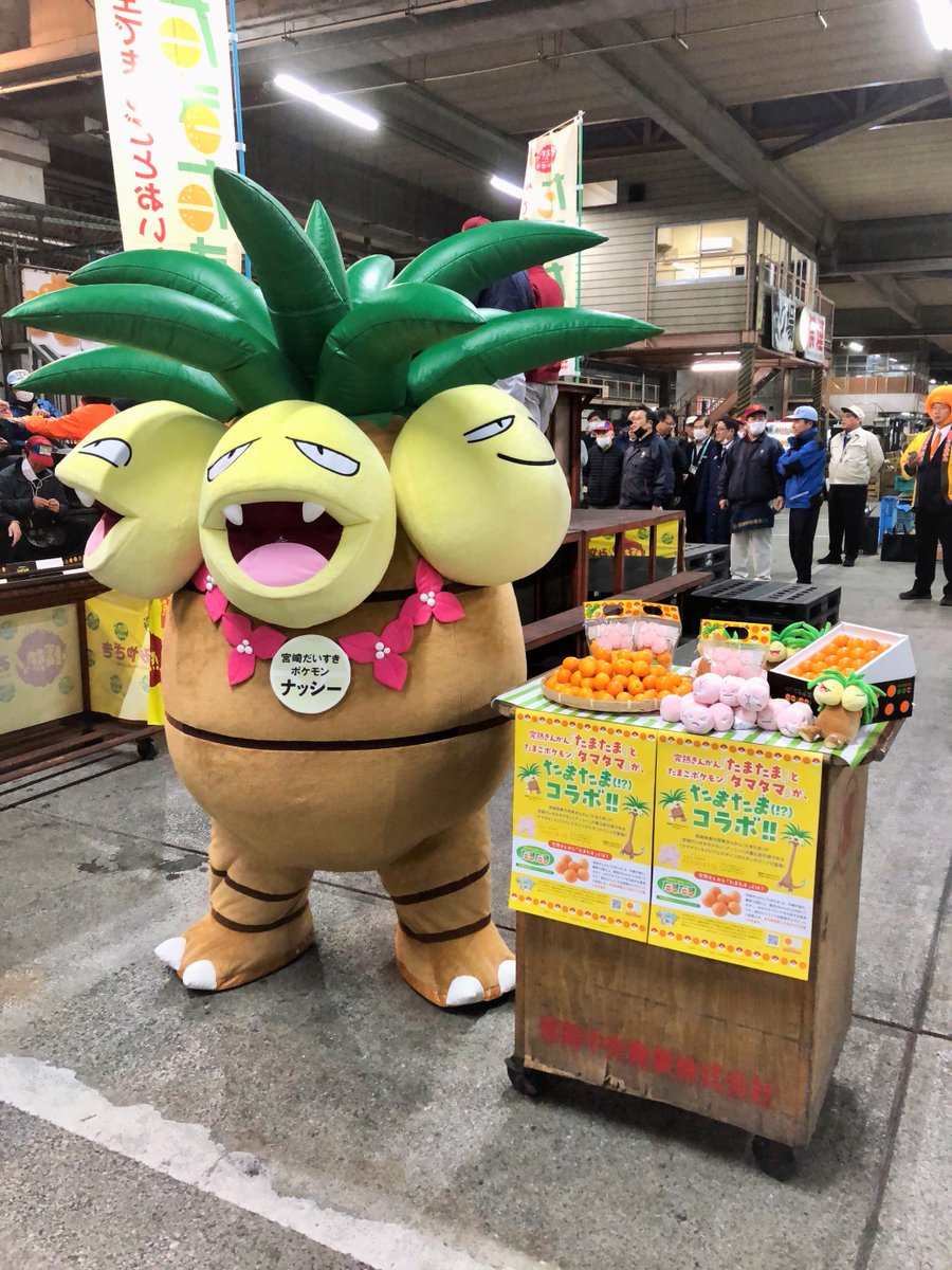 宮崎県産完熟きんかん「たまたま」が本日より販売解禁！ 今年は「#宮崎