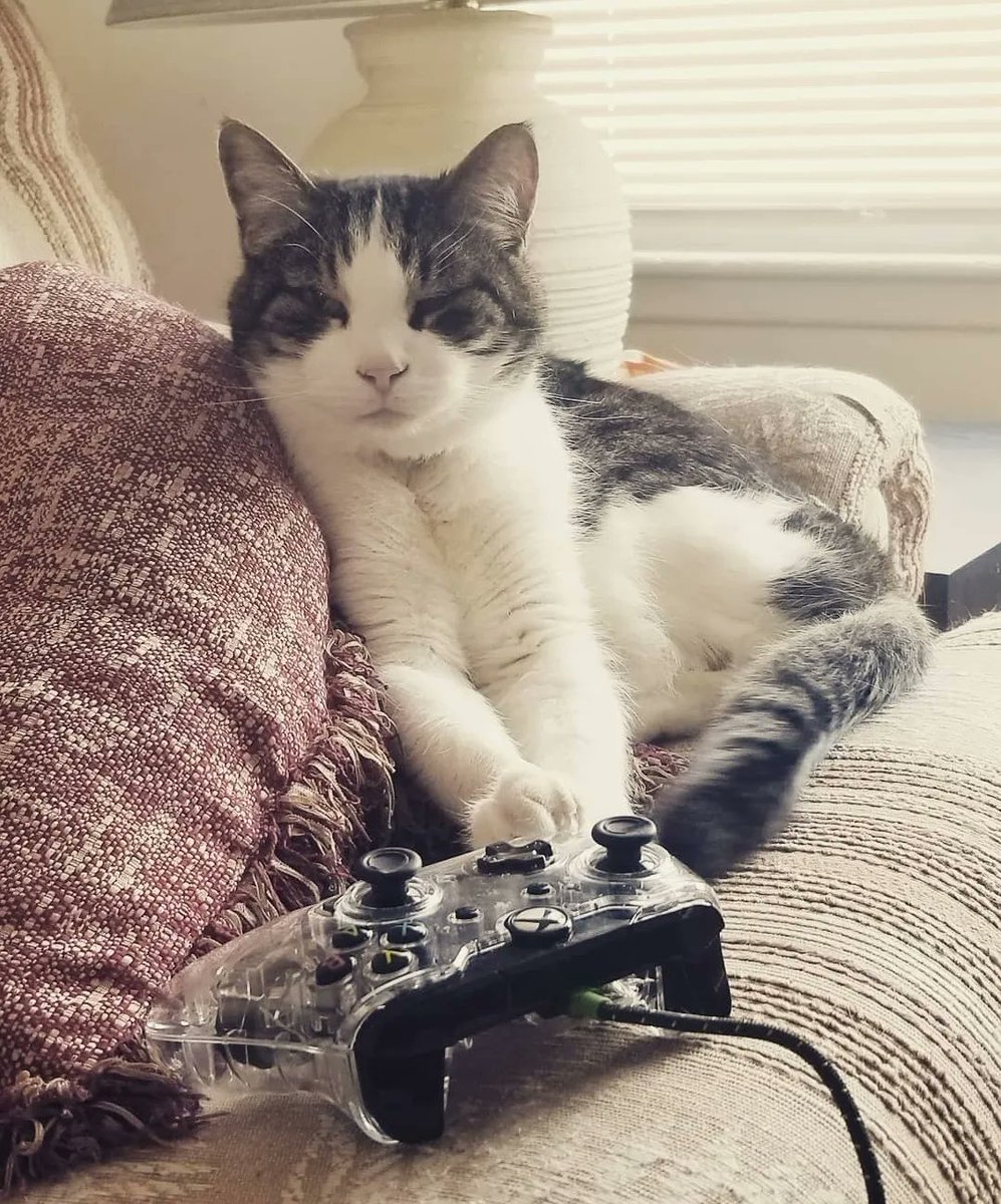 RudeOnion💀 tweet media