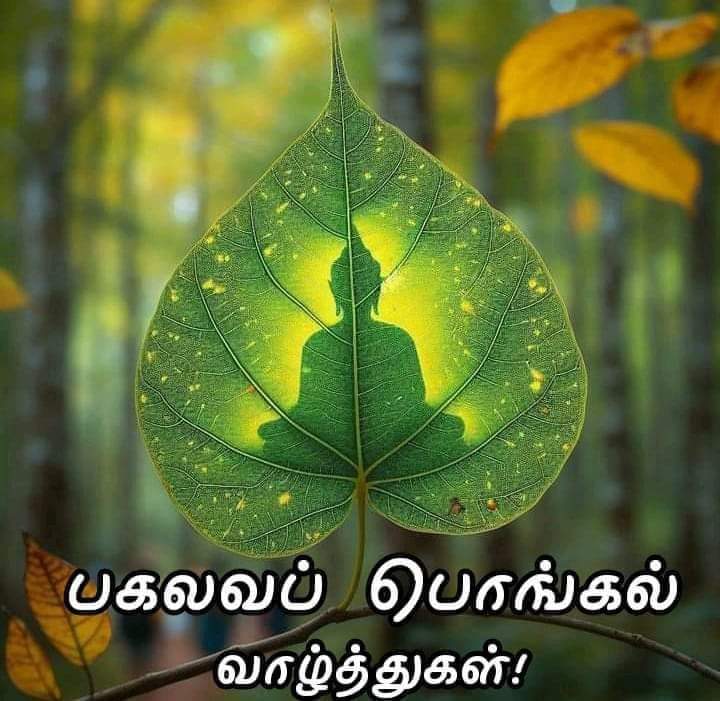 Budhdhamithirar's tweet photo. https://t.co/tx4kAzihQS