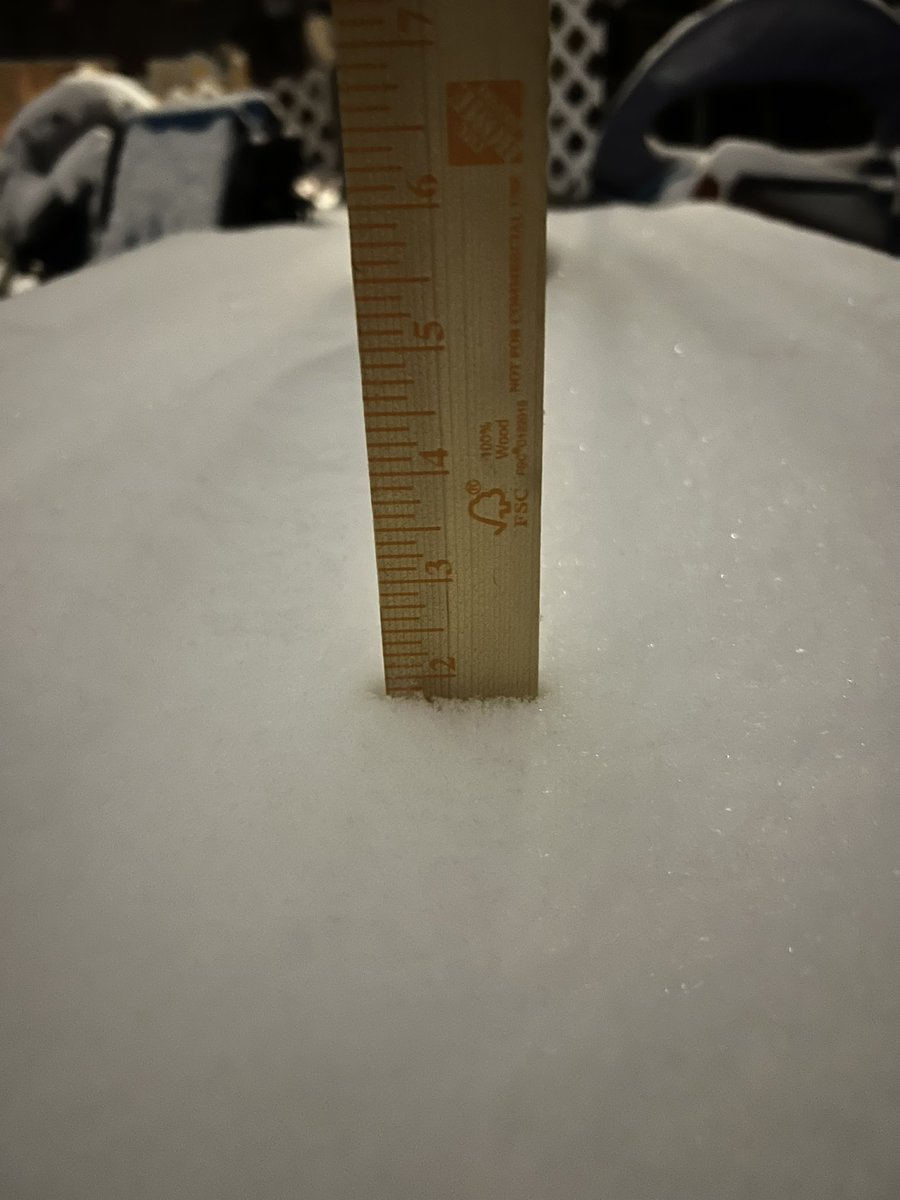 LittleKittyCat's tweet photo. #tspotter measured on a table in Inglewood, Nashville 37216. https://t.co/B9UYAPGMv5