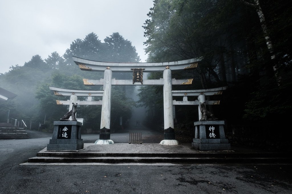 archillect's tweet photo. https://t.co/GULKcJGAJK