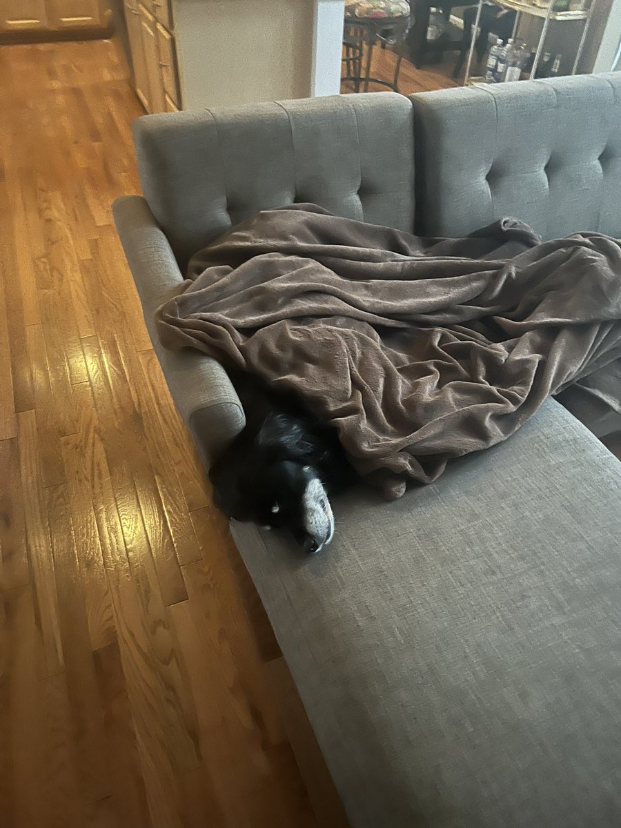 imnotcursed's tweet photo. https://t.co/X5Ql0GJ6sl