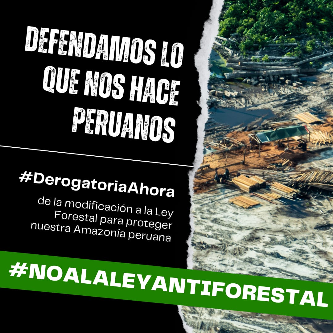BioTwitt3r's tweet photo. ¡Defendamos nuestros bosques y la Amazonía! Los peruanos le decimos #NoALaLeyAntiforestal y exigimos la #DerogatoriaAhora @congresoperu
@Peru_APP_ 
@BancadaAPP
@CesarAcunaP
@waldemar_cerron 
@AlejandroSotoRe 
@ParionaSinche 
@RuthLuqueIbarra
@USEMBASSYPERU https://t.co/g7XIZsmMJb